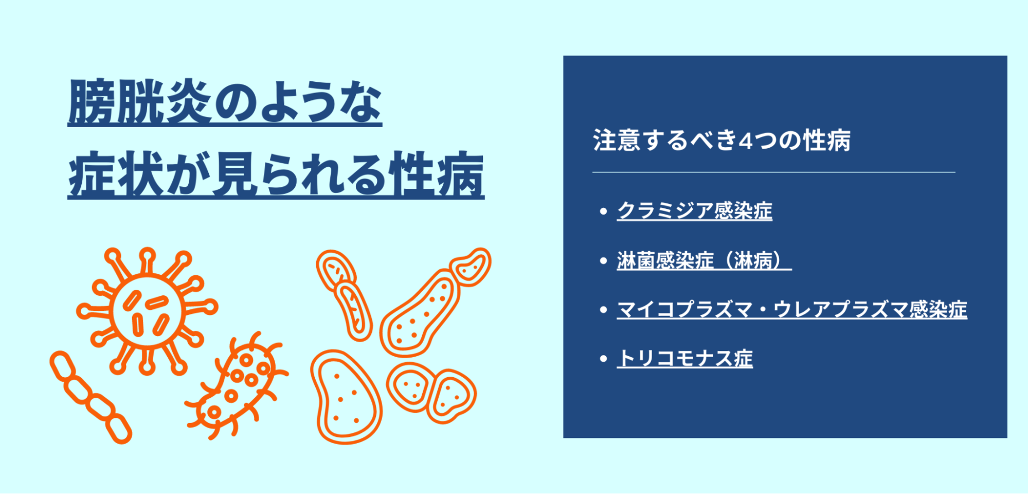 膀胱炎のような症状がみられる性病。注意するべき4つの性病。クラミジア感染症、淋菌感染症(淋病)、マイコプラズマ・ウレアプラズマ感染症、トリコモナス病